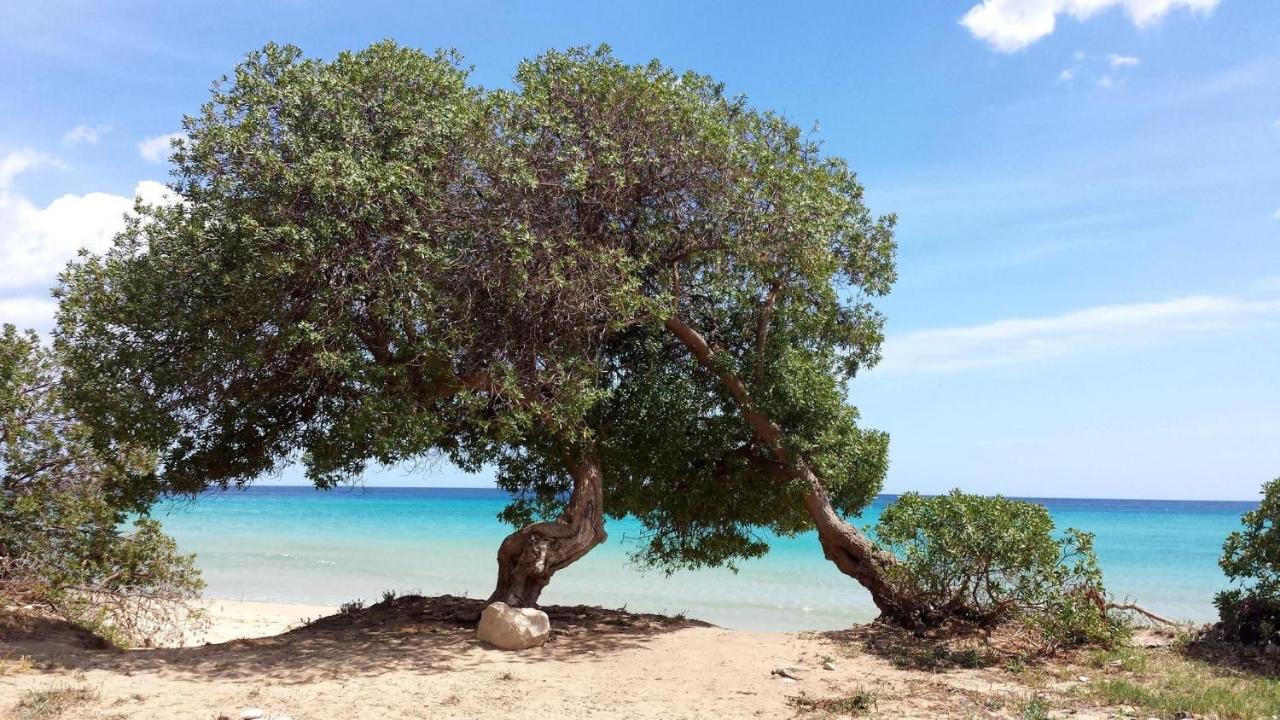 Anna'S House Near The Sandy Beach And With Wifi アヴォラ エクステリア 写真